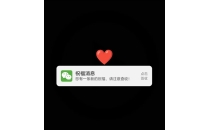 星海之星烟花